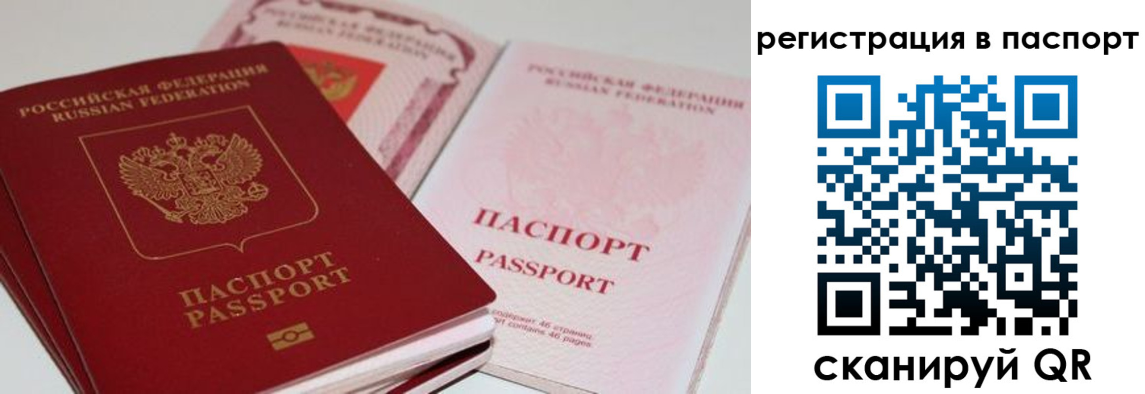 найти адрес прописки в Пушкино